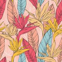 Seamless outline pattern with bright bird of paradise flowers and leaves of Strelitzia Reginae. vector