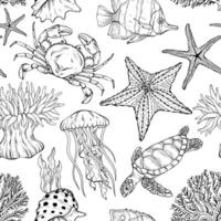 Seamless outline underwater pattern. Various shell, algae, turtle, crab, crayfish, jellyfish, shell coral starfish anemone vector