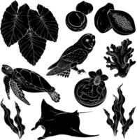Tropical silhouette set. Hawaii, beach and summer related items. Hawaiian set, stingray, owl, turtle, seaweed, coral and papaya Design elements vector