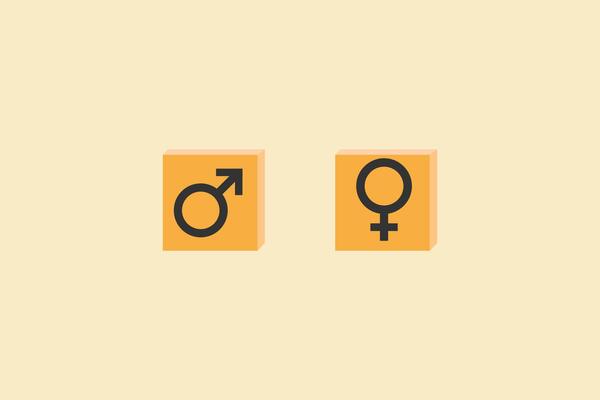 Equal sign between symbols of men and women. concept for gender equality