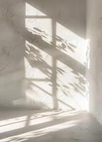 Window shadow overlay photo