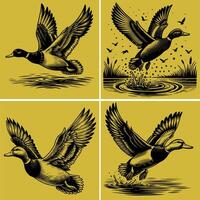 flying and landing with water droplets around it wild ducks Silhouettes set vector