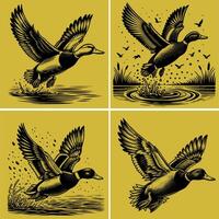 flying and landing with water droplets around it wild ducks Silhouettes set vector