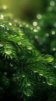 Nature Quiet Background photo