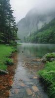 Nature Quiet Background photo
