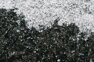 Selective focus. First snow on a frozen field plants, late autum photo