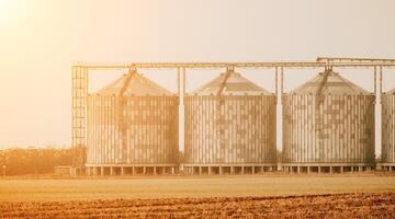 Silos and granary elevator. Modern agro-processing manufacturing plant with grain-drying complex. processing, drying, cleaning, and storing agricultural products in wheat, rye or corn fields photo