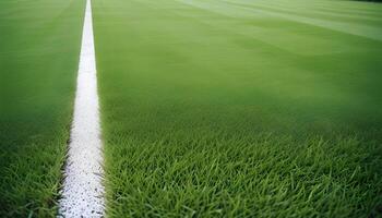 green grass background photo