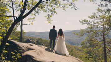 A happy couple of brides stand on the mountain with their backs to the camera and look into the distance at the mountains covered with trees. Looking into the future of a young couple in love. video