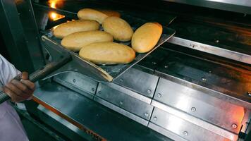 The baker takes the bread out of the oven. Baking bread at the bakery. video