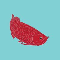 Arowana fish icon vector