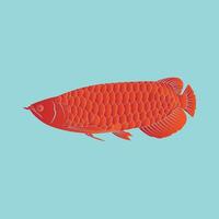 Arowana fish icon vector