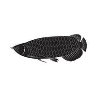 Arowana fish icon vector