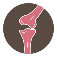 Bone joints icon vector
