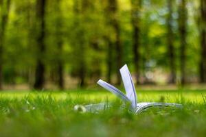 open book on the grass in a park on a sunny day, the leaves of the book are flipped through by the wind photo