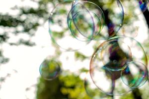 soap bubbles close-up on a background of sun and greenery, abstract background, positive mood, holiday, carelessness photo