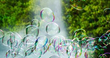 soap bubbles close-up on a background of sun and greenery, abstract background, positive mood, holiday, carelessness photo