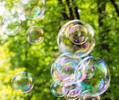 soap bubbles close-up on a background of sun and greenery, abstract background, positive mood, holiday, carelessness photo