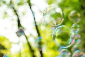 soap bubbles close-up on a background of sun and greenery, abstract background, positive mood, holiday, carelessness photo