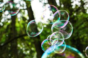 soap bubbles close-up on a background of sun and greenery, abstract background, positive mood, holiday, carelessness photo