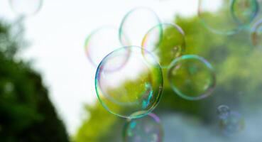 soap bubbles close-up on a background of sun and greenery, abstract background, positive mood, holiday, carelessness photo