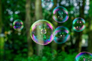 soap bubbles close-up on a background of sun and greenery, abstract background, positive mood, holiday, carelessness photo