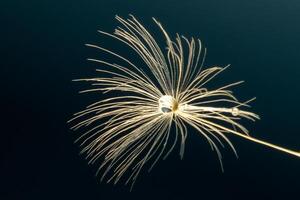 macro photo of flying dandelion fluff on a black background, abstraction, details