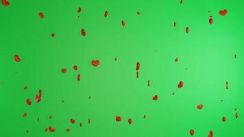 Happy valentine day congratulation with pink 3d heart rain shapes flying with green background chroma key video