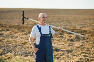 a farmer works with a rake photo