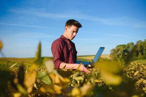 Portrait of young farmer standing in filed examining soybean corp. photo