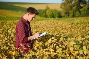 Portrait of young farmer standing in filed examining soybean corp. photo