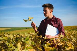 Agronomist inspecting soya bean crops growing in the farm field. Agriculture production concept. young agronomist examines soybean crop on field in summer. Farmer on soybean field photo