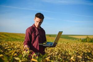 Young farmer in filed examining soybean corp at sunset. photo