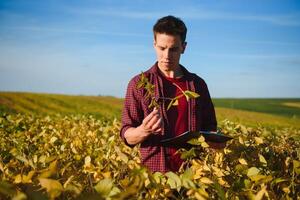 Farmer in soybean field plantation photo