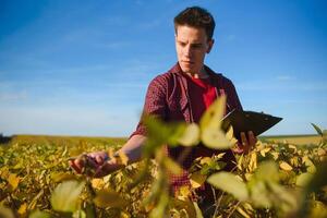 Young farmer in soybean fields photo