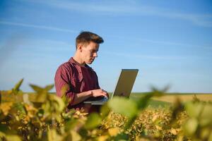 Portrait of young farmer standing in filed examining soybean corp. photo