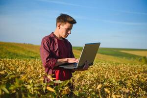 Portrait of young farmer standing in filed examining soybean corp. photo