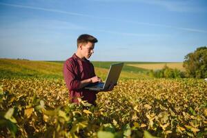 Young farmer in filed examining soybean corp at sunset. photo