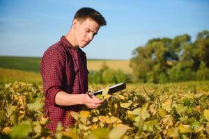 Portrait of young farmer standing in filed examining soybean corp. photo
