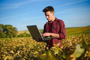 Portrait of young farmer standing in filed examining soybean corp. photo