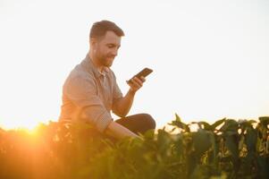 A farmer inspects a green soybean field. The concept of the harvest photo