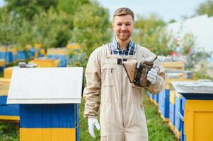 Beekeeper is working with bees and beehives on apiary. Bees on honeycomb. Frames of bee hive. Beekeeping. Honey. Healthy food. Natural products. photo
