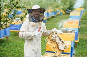 Beekeeper inspecting honeycomb frame at apiary at the summer day. Man working in apiary. Apiculture. Beekeeping concept photo