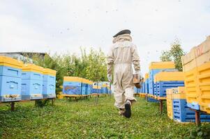 Beekeeper on apiary. Beekeeper is working with bees and beehives on the apiary. photo