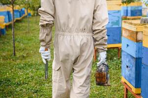 Beekeeper on apiary. Beekeeper is working with bees and beehives on the apiary. photo