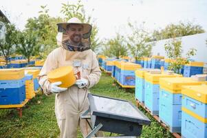 Beekeeper on apiary. Beekeeper is working with bees and beehives on the apiary. photo