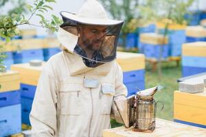 A tools of the beekeeper. Everything for a beekeeper to work with bees. Smoker, a chisel, a box, beekeeper suit for protection from the bees, equipment for beekeeping, beekeeping concept photo