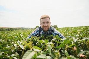 Young farmer in soybean fields photo
