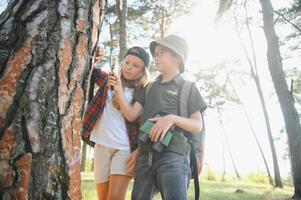 Kids exploring nature with magnifying glass. Summer activity for inquisitive child. photo