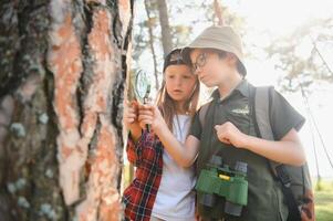 Kids exploring nature with magnifying glass. Summer activity for inquisitive child. photo